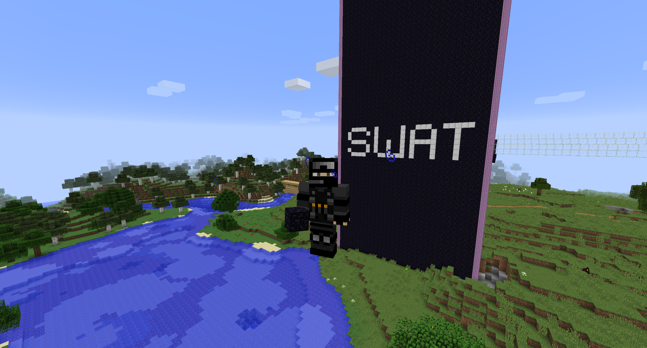 Minecraft – Pro Gamer